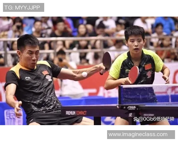 上海乒乓球队灵活性排名创新高展现卓越实力与团队合作精神 上海乒乓球队灵活性排名创新高展现卓越实力与团队合作精神