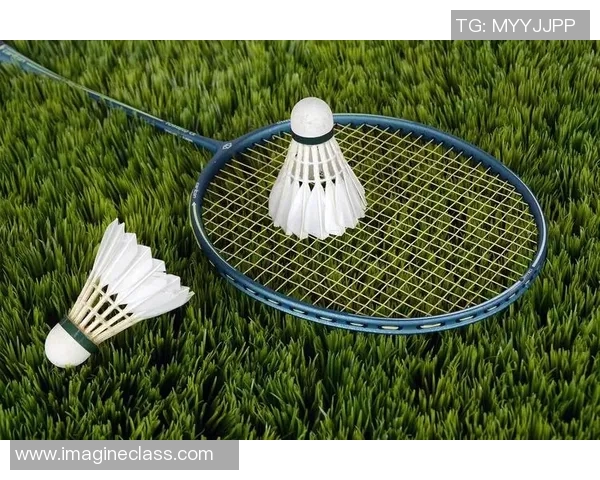 武汉羽毛球队的崛起与发展探秘展现羽毛球运动的无限魅力与力量