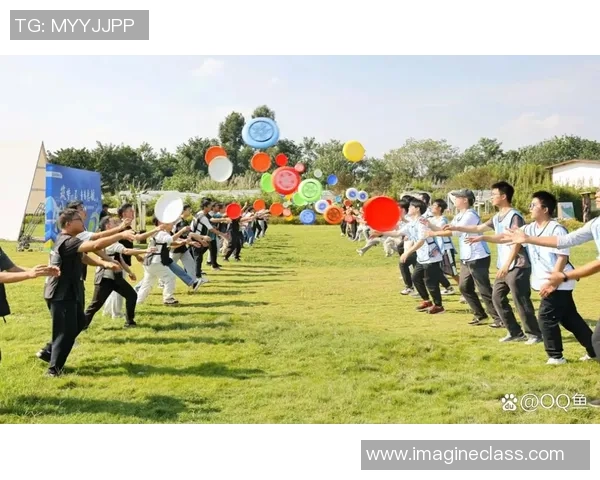 重庆飞盘队的阵地战揭秘：深度解析飞盘运动的战术与团队协作