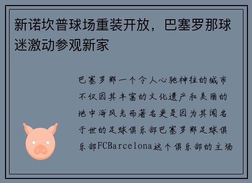新诺坎普球场重装开放，巴塞罗那球迷激动参观新家