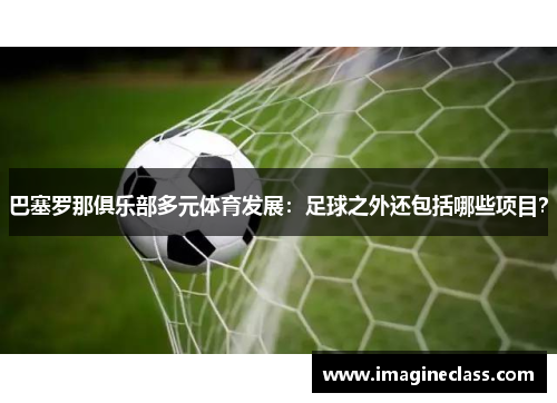 巴塞罗那俱乐部多元体育发展：足球之外还包括哪些项目？
