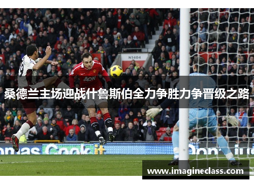 桑德兰主场迎战什鲁斯伯全力争胜力争晋级之路