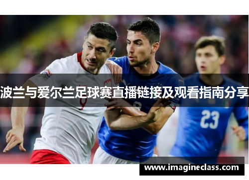 波兰与爱尔兰足球赛直播链接及观看指南分享